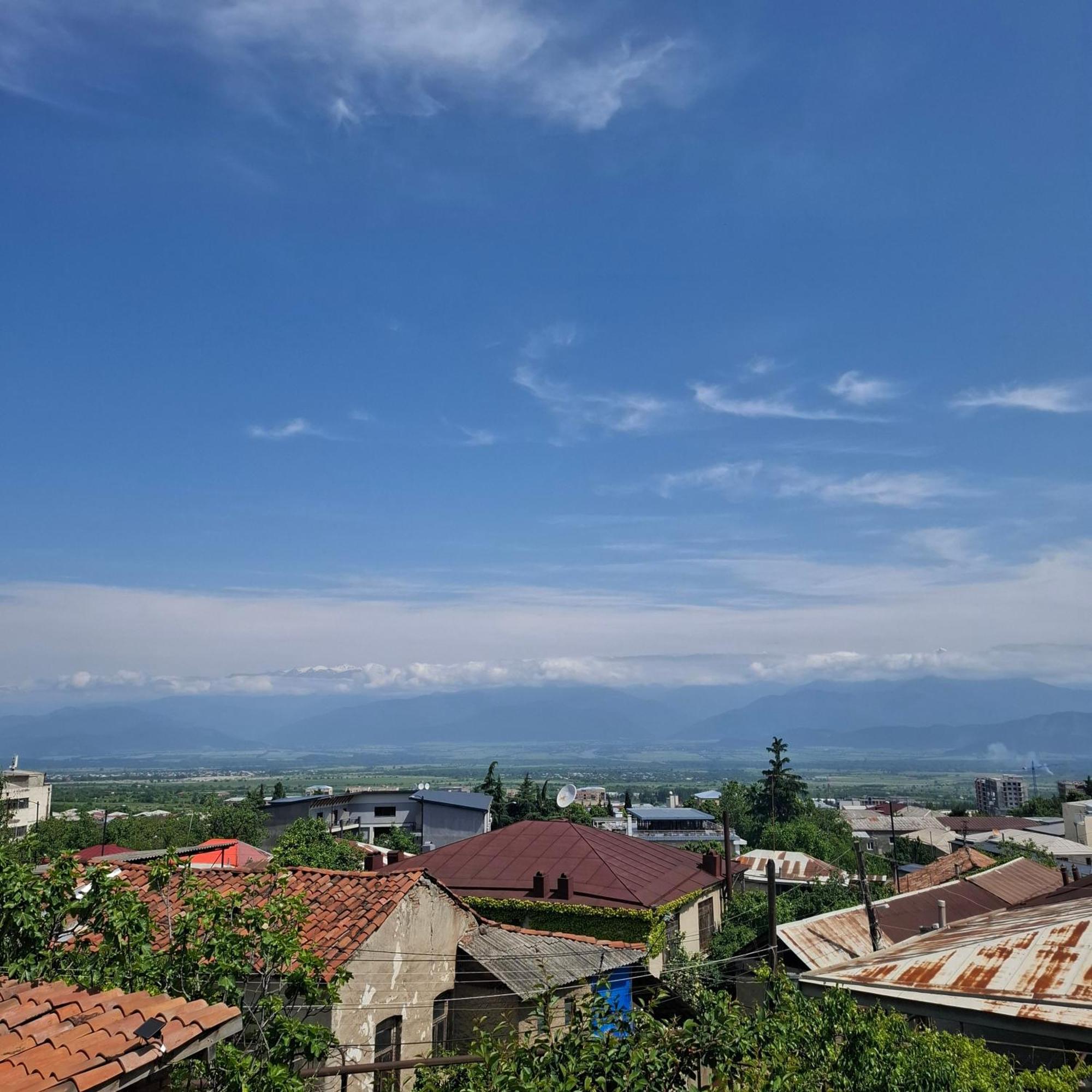 Kadori Hills Hotel Telavi Exterior photo